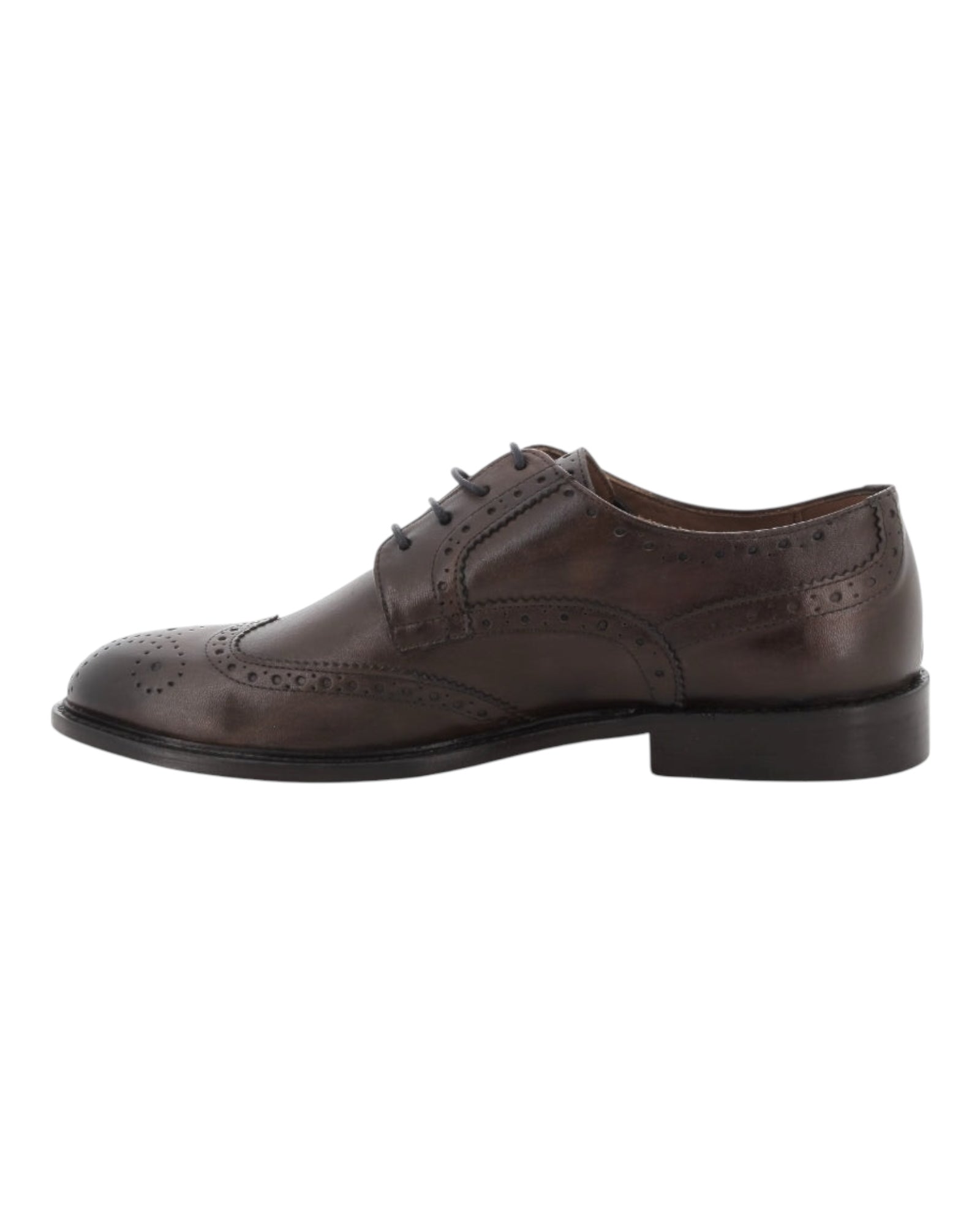 1201 - Derby - Scarpe