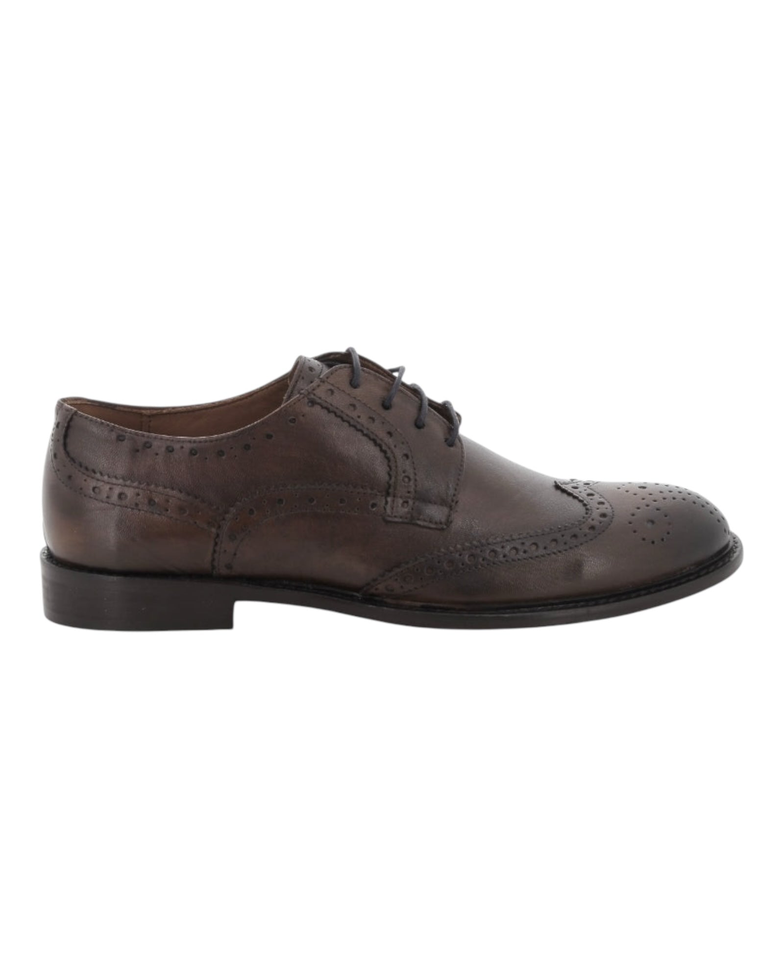 1201 - Derby - Scarpe