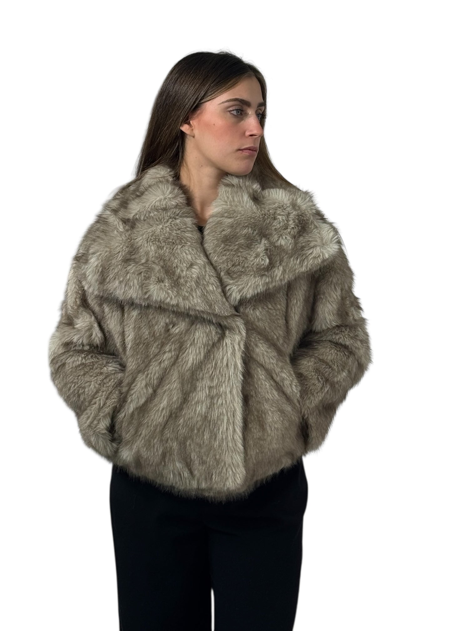 3024--bg - Pelliccia - pelliccia