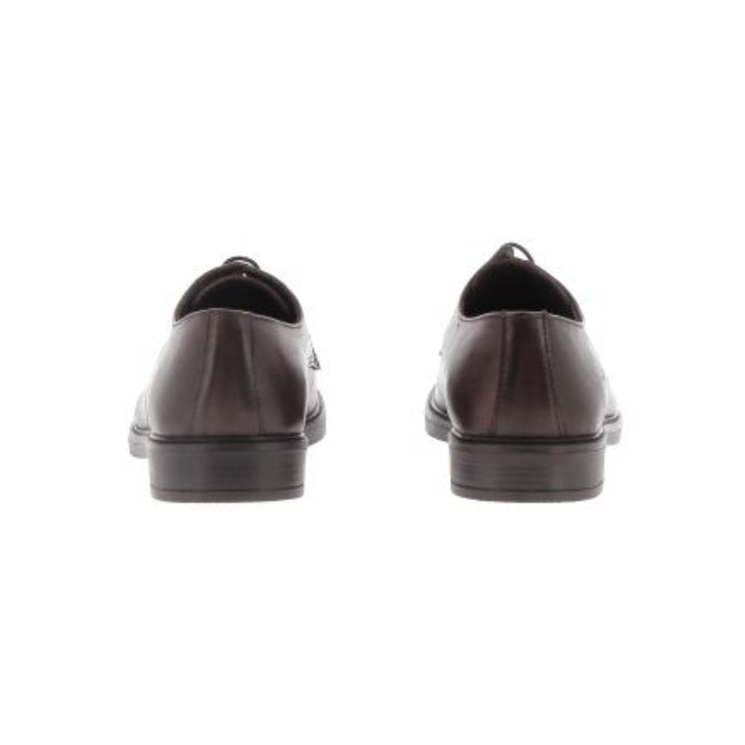 Diplomatica - Derby - Scarpe