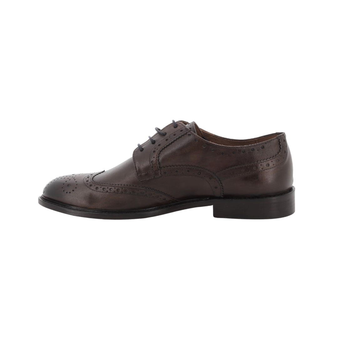 1201 - Derby - Scarpe