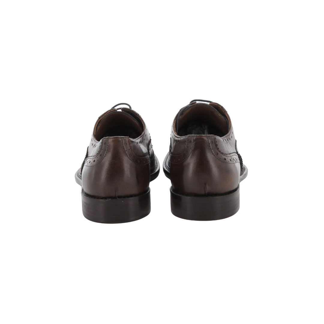 1201 - Derby - Scarpe