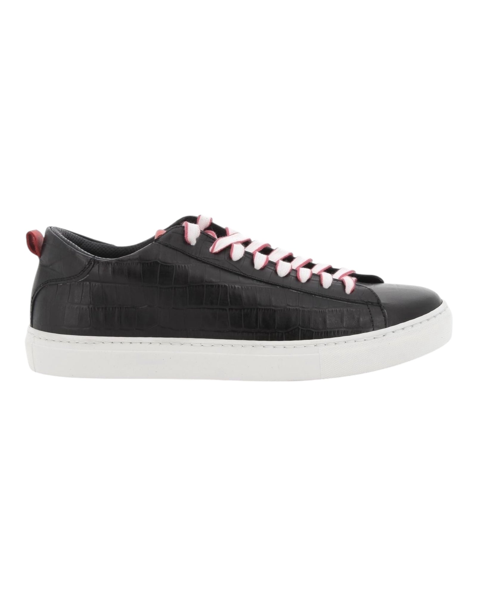 Saccent nr - Sneakers - Scarpe