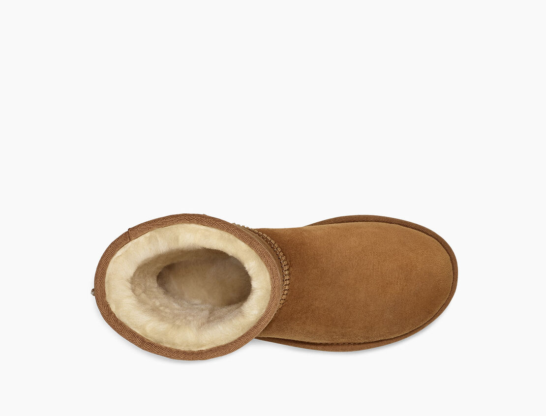 1016223 - Classic short II - Scarpe